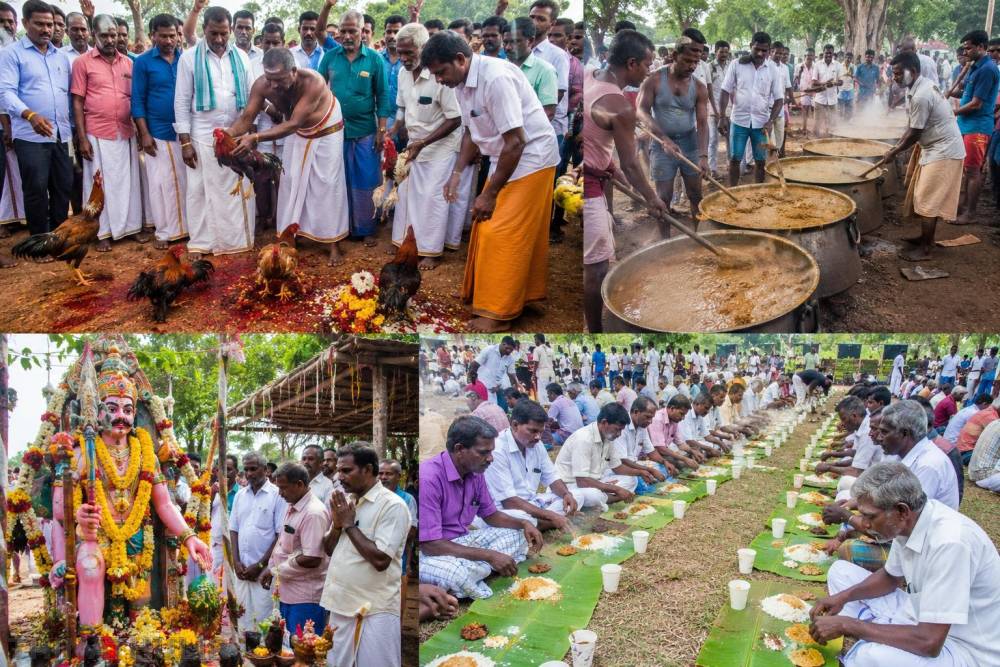 100-க்கும் மேற்பட்ட சேவல்கள் பலியிட்டு அன்னதானம்... ஆண்களுக்கு மட்டும் வழங்கப்பட்ட ஆடி படையல் விழா