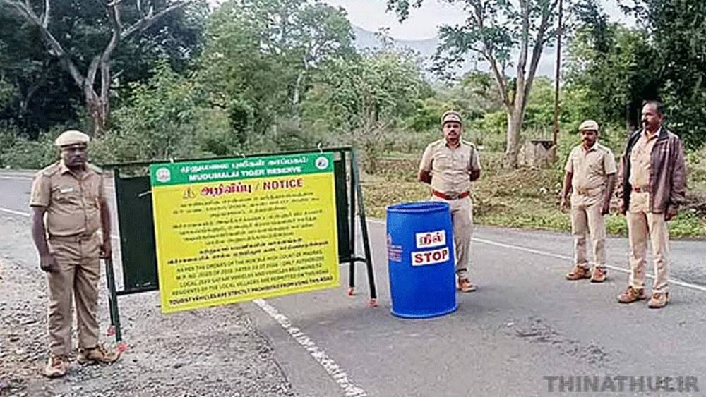 நீலகிரி: மசினகுடி மலைப்பாதையில் இன்று முதல் சுற்றுலா வாகனங்களுக்கு தடை அமல்
