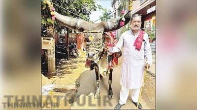 நீண்ட கொம்புகளுடன் காளையை அழைத்து திருப்பதிக்கு நடைபயணம் மேற்கொண்ட பக்தர்