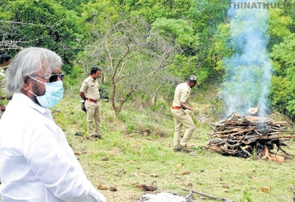 நீலகிரி மாவட்டத்தில் 2 புலிகள் உயிரிழப்பு