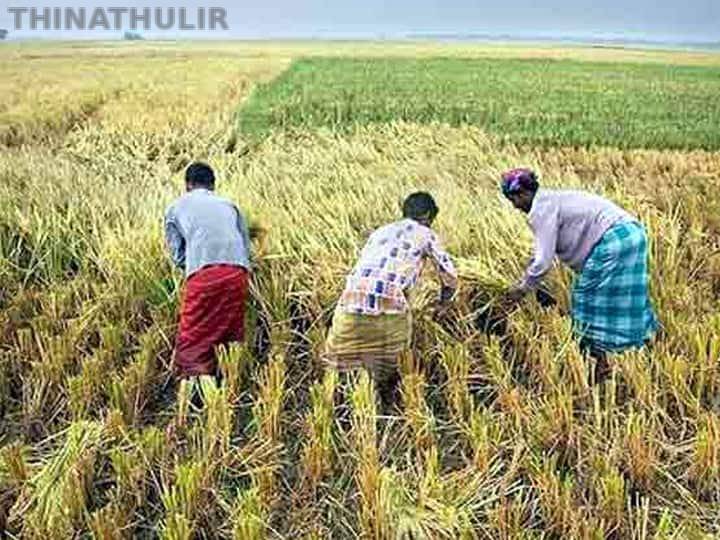 விவசாயிகளுக்கு கூடுதல் நிவாரணம்: ரூ.75 ஆயிரம் வரை பயிர்க்கடன் முழுமையாக தள்ளுபடி என முதல்-அமைச்சர் விஜய் அறிவிப்பு