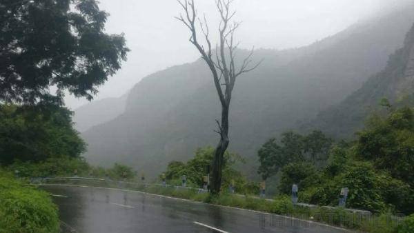 தமிழகத்தில் 3 மாவட்டங்களில் இன்று கனமழைக்கு வாய்ப்பு