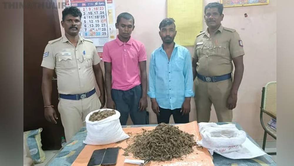 தூத்துக்குடி: லாரியில் பதுக்கி வைத்திருந்த 2.8 கிலோ கஞ்சா பறிமுதல்; 2 பேர் கைது