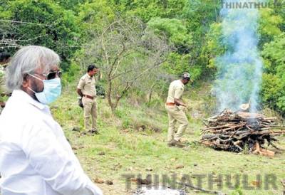 நீலகிரி மாவட்டத்தில் 2 புலிகள் உயிரிழப்பு