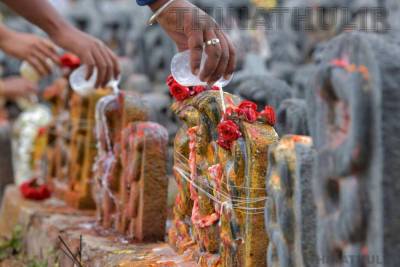 கால சர்ப்ப தோஷ நிவாரணத்திற்கு சிறப்பு வாய்ந்த நாக சதுர்த்தி வழிபாடு