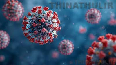கர்நாடகாவில் வேகமாக பரவும் பன்றி காய்ச்சல்: 4 ஆயிரம் பேருக்கு பாதிப்பு
