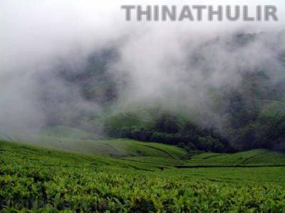 மேகமலை வன ஆக்கிரமிப்பாளர் பட்டியலில் 118 அரசு ஊழியர்கள்: யார் யார்?