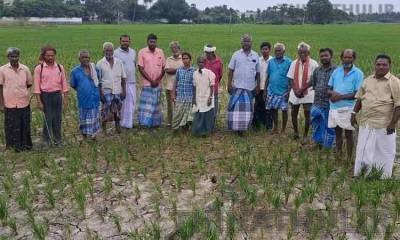 காவிரி டெல்டா பகுதிகளை வறட்சி பாதித்த மாவட்டங்களாக அறிவிக்க வேண்டும்: மு.வீரபாண்டியன்