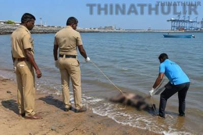 தூத்துக்குடி: கடலில் அழுகிய நிலையில் ஆண் சடலம் மீட்பு – போலீசார் விசாரணை