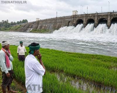 மேட்டூர் அணையில் செப்.1-ந் தேதி தண்ணீர் திறக்க அரசு ஏற்பாடு: டெல்டா விவசாயிகள் சொல்வது என்ன?