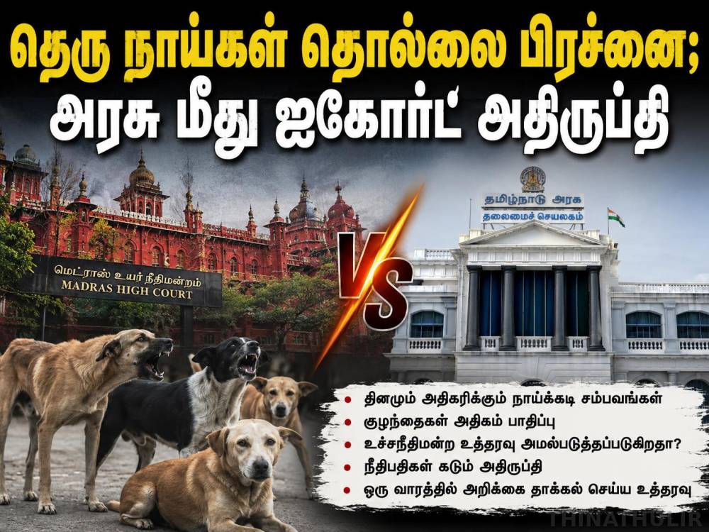 தெரு நாய்கள் பிரச்சினை: தமிழக அரசு நடவடிக்கையில் சென்னை ஐகோர்ட் அதிருப்தி