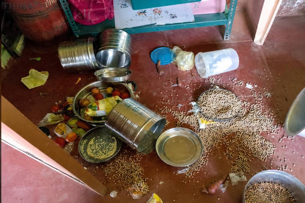 நீலகிரியில் அங்கன்வாடி மையத்துக்குள் புகுந்த கரடி; பெற்றோர், பொதுமக்கள் அச்சம்