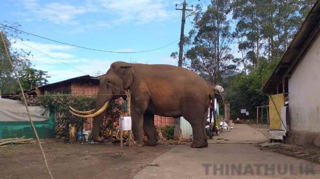 கேரளாவில் உணவு தேடி ரேஷன் கடைக்குள் புகுந்த காட்டு யானை; அரிசி மூட்டைகள் சேதம்
