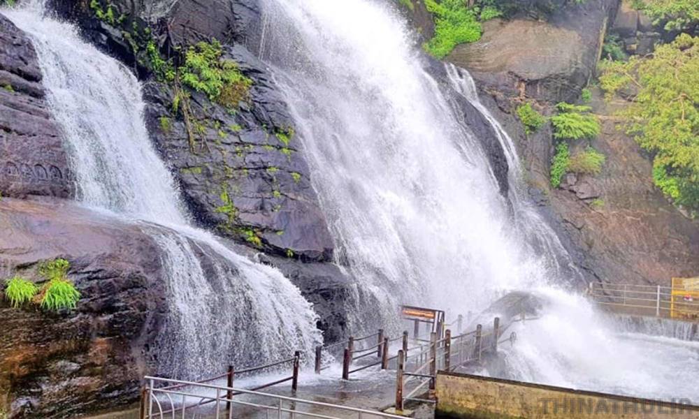 குற்றாலம் அருவிகளில் நீர்வரத்து உயர்வு; மெயின் அருவி, ஐந்தருவியில் குளிக்க தற்காலிக தடை