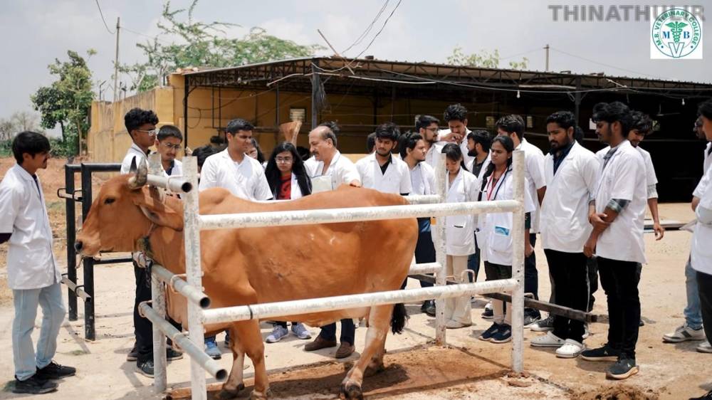 கால்நடை மருத்துவப் படிப்புகளுக்கான தரவரிசைப் பட்டியல் வெளியீடு