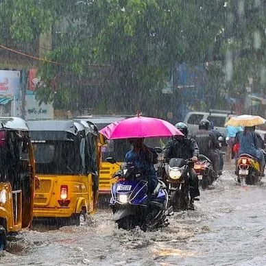 வானிலை செய்திகள் தமிழகத்தில் 3 மாவட்டங்களில் நாளை கனமழைக்கு வாய்ப்பு...