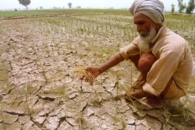 மின் தடையால் தண்ணீர் பாய்ச்ச வழியின்றி காய்ந்து வரும் நெற்பயிர்கள்...