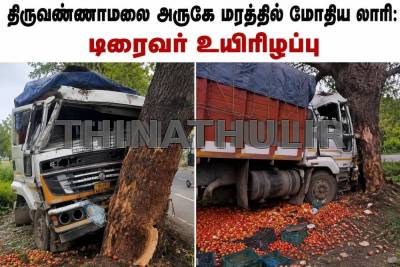 திருவண்ணாமலை அருகே மரத்தில் மோதிய லாரி: டிரைவர் உயிரிழப்பு