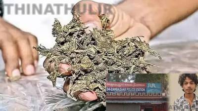 சென்னையில் கஞ்சா விற்பனை: வடமாநிலத்தைச் சேர்ந்த 4 பேர் கைது, 15 கிலோ கஞ்சா பறிமுதல்