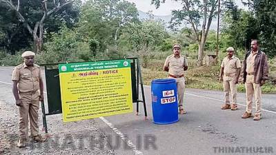 நீலகிரி: மசினகுடி மலைப்பாதையில் இன்று முதல் சுற்றுலா வாகனங்களுக்கு தடை அமல்