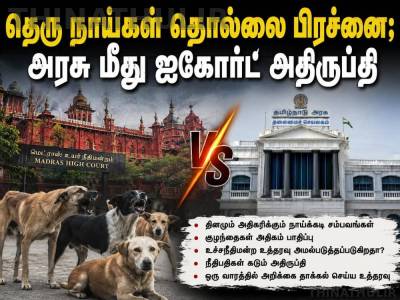 தெரு நாய்கள் பிரச்சினை: தமிழக அரசு நடவடிக்கையில் சென்னை ஐகோர்ட் அதிருப்தி