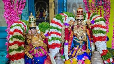மங்கைமடம் வீர நரசிம்ம பெருமாள் கோவிலில் பிரம்மோற்சவம்: திருத்தேரோட்டத்தில் திரளான பக்தர்கள் பங்கேற்பு