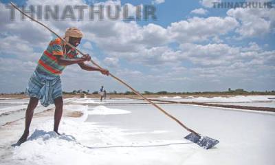 தூத்துக்குடி உப்பு தொழிலுக்கு சவாலாகும் குஜராத் உப்பு; காரணம் என்ன?