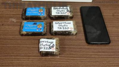 சென்னை வந்த 12 கிலோ கஞ்சா சாக்லேட்கள் பறிமுதல்; இளைஞர் கைது