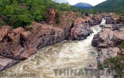 மேகதாது அணை விவகாரம்: ஆகஸ்ட் 3-ம் தேதி கர்நாடகா செல்கிறார் முதல்-அமைச்சர் விஜய்
