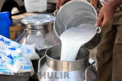 தமிழகத்தில் மீண்டும் பால், தயிர் விலை உயர்வு: பொதுமக்கள் அதிர்ச்சி