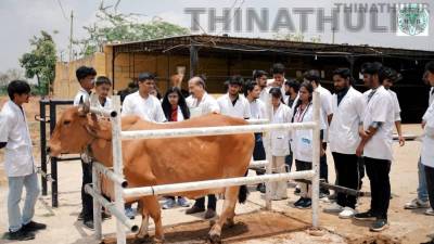 கால்நடை மருத்துவப் படிப்புகளுக்கான தரவரிசைப் பட்டியல் வெளியீடு
