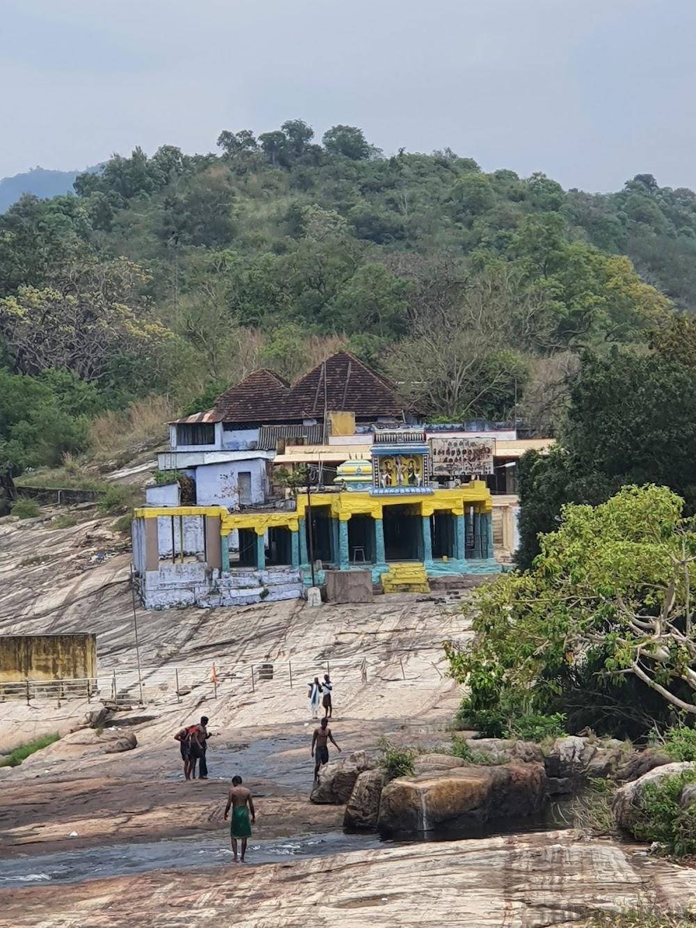 ஆடி அமாவாசை திருவிழா: சொரிமுத்து அய்யனார் கோவிலுக்கு 150 சிறப்பு பஸ்கள் இயக்கம்