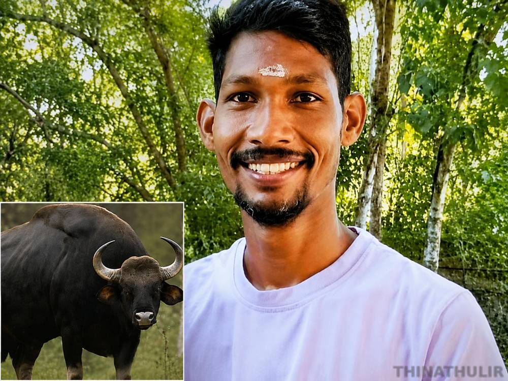 கேரளா: காட்டெருமை தாக்கி அரசு ஊழியர் உயிரிழப்பு