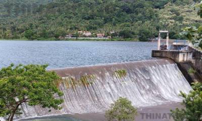 தொடர் மழையால் நெல்லை அணைகளில் வேகமாக உயரும் நீர்மட்டம்