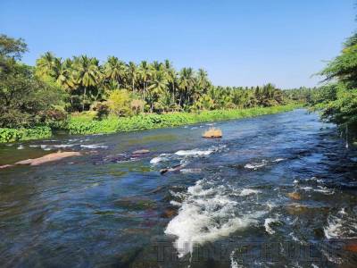 பிலிகுண்டுலுவில் காவிரி நீர்வரத்து அதிகரிப்பு; வினாடிக்கு 8,000 கன அடியாக உயர்ந்தது