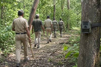 நீலகிரி: தொழிலாளியை கொன்ற புலியை பிடிக்க தீவிர தேடுதல் வேட்டை