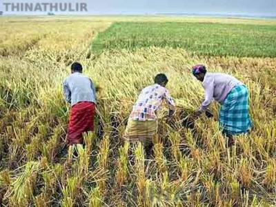 விவசாயிகளுக்கு கூடுதல் நிவாரணம்: ரூ.75 ஆயிரம் வரை பயிர்க்கடன் முழுமையாக தள்ளுபடி என முதல்-அமைச்சர் விஜய் அறிவிப்பு