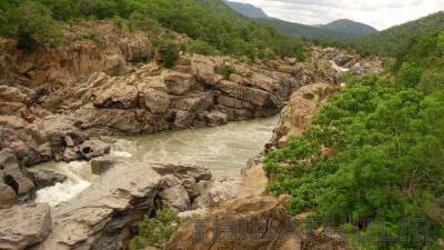 மேகதாது அணைக்காக 8.90 லட்சம் மரங்களை வெட்ட கர்நாடகா திட்டம்