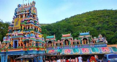 சோலைமலை முருகன் கோவிலில் மண்டலாபிஷேக விழா