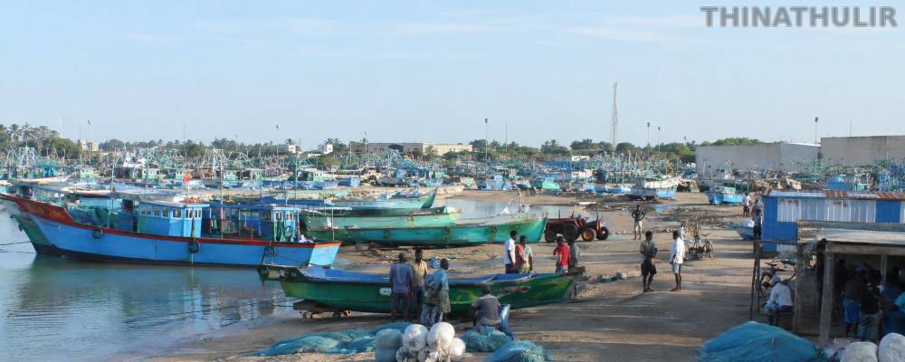 தூத்துக்குடி விசைப்படகு மீனவர்கள் திடீர் வேலைநிறுத்தம்: 272 படகுகள் கரையில் நிறுத்தம்