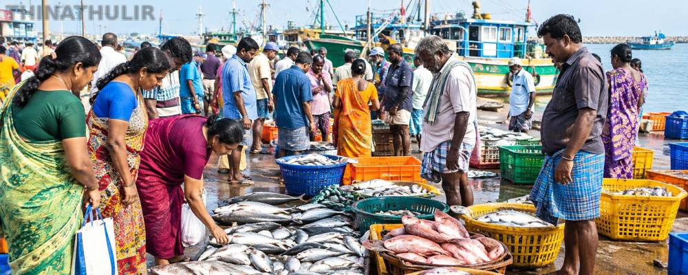 மீன்கள் வரத்து அதிகரிப்பால் விலை சரிவு... தூத்துக்குடியில் குவிந்த மீன் பிரியர்கள்