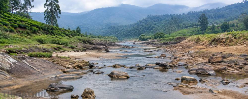 நீலகிரியில் ஆறுகளில் குறைந்த நீர்வரத்து: குடிநீர் தட்டுப்பாடு அபாயம்
