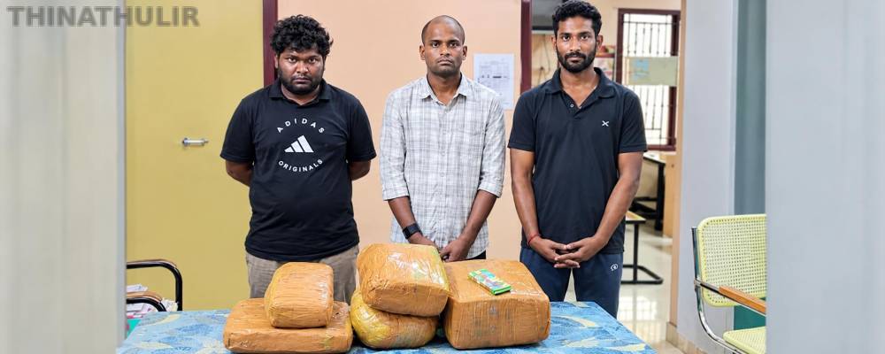 தூத்துக்குடியில் 14 கிலோ கஞ்சா பறிமுதல்: 3 வாலிபர்கள் கைது