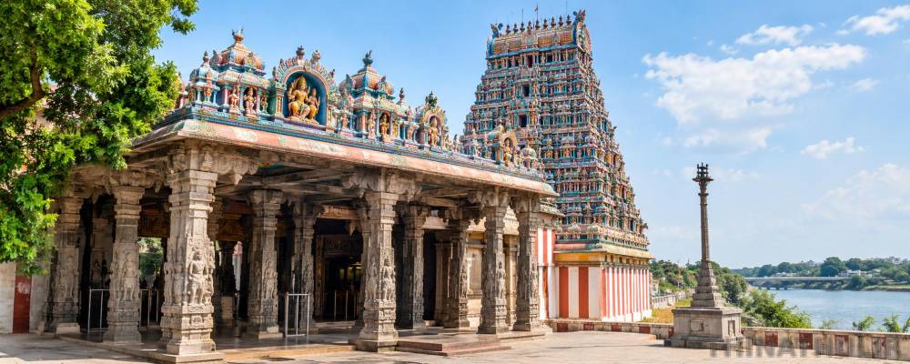 சிக்கல் தீர்க்கும் மதுரை திருவாப்புடையார் தரிசனம்