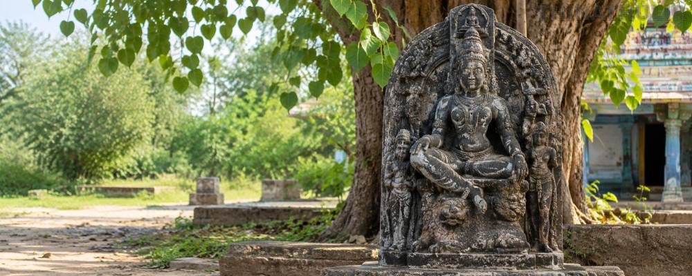 சமணர் கால காவல் தெய்வமான தர்மதேவி சிலை கண்டுபிடிப்பு