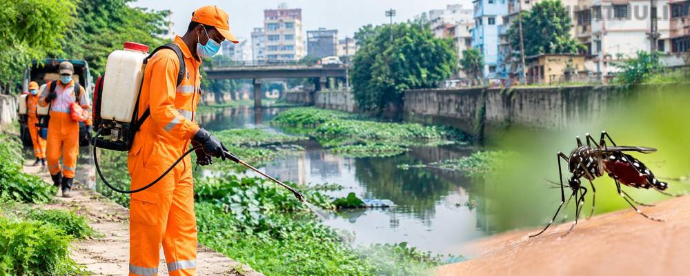 சென்னையில் டெங்கு பாதிப்பு அதிகரிப்பு: ஒரே நாளில் 72 பேருக்கு உறுதி