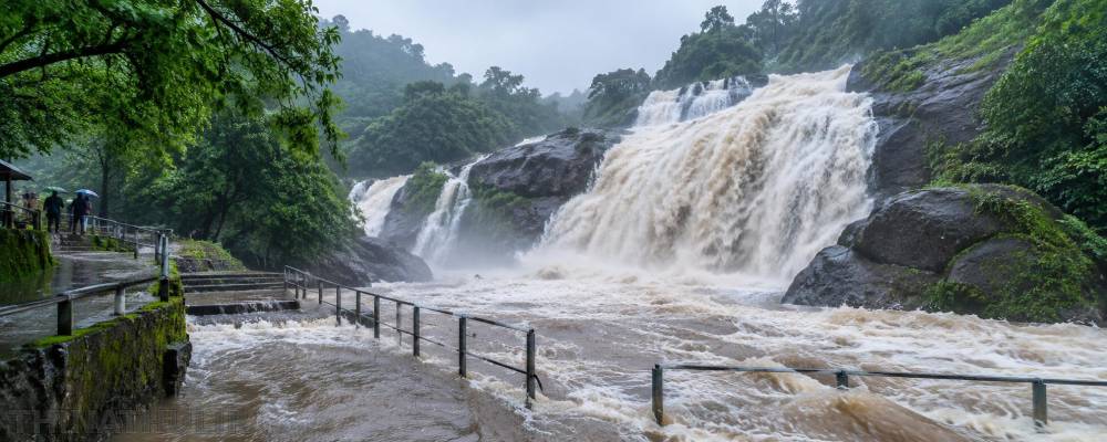 கனமழை காரணமாக வெள்ளப்பெருக்கு: கோவை குற்றாலத்தில் சுற்றுலா பயணிகள் குளிக்க தடை