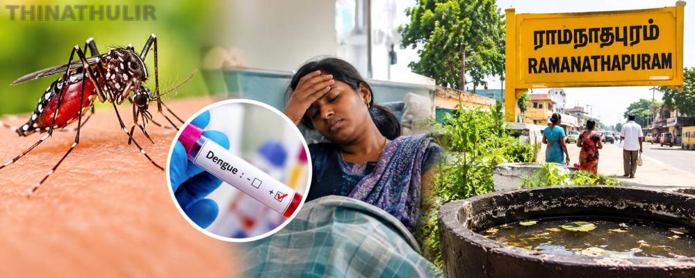 ராமநாதபுரத்தில் அதிகரிக்கும் டெங்கு பாதிப்பு: அச்சத்தில் பொதுமக்கள்
