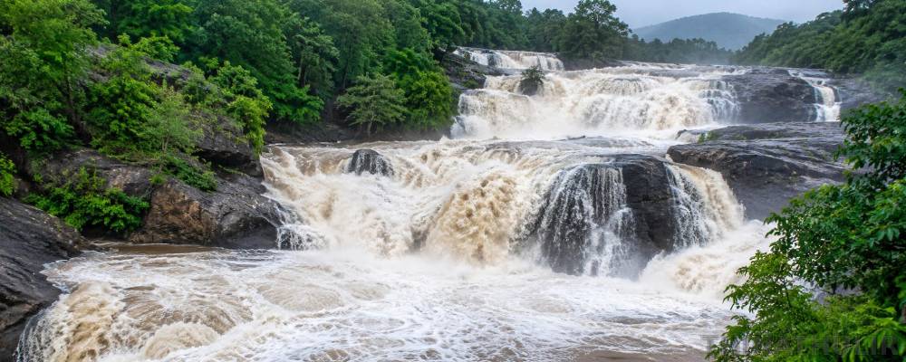 மணிமுத்தாறு அருவியில் நீர்வரத்து அதிகரிப்பு: சுற்றுலாப் பயணிகள் குளிக்கத் தடை