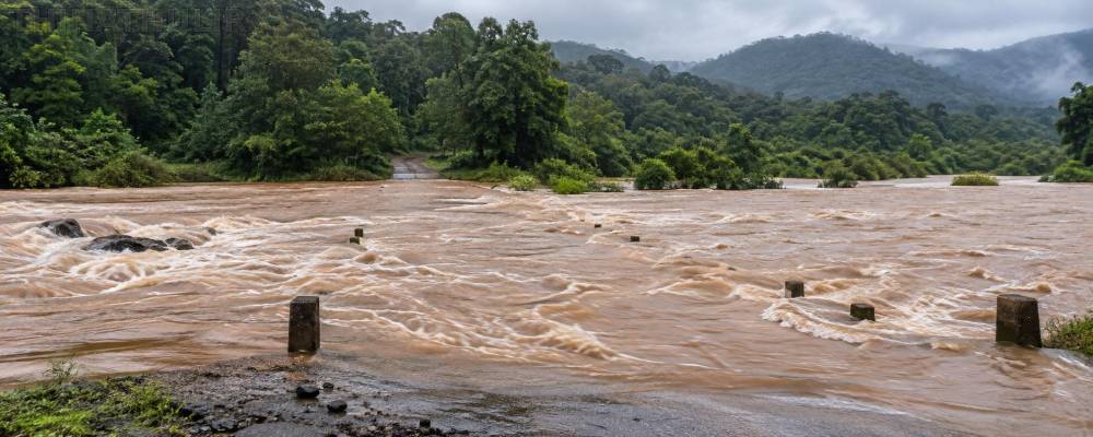 நீலகிரி: மாயாற்றில் காட்டாற்று வெள்ளம் – தெங்குமரஹடா மலைக்கிராமத்துக்கான போக்குவரத்து துண்டிப்பு